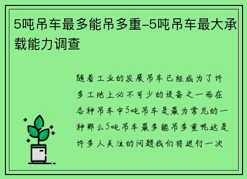5吨吊车最多能吊多重-5吨吊车最大承载能力调查