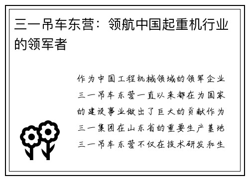 三一吊车东营：领航中国起重机行业的领军者